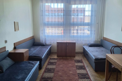 Focha_0016