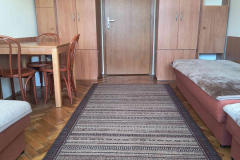 Focha_0020